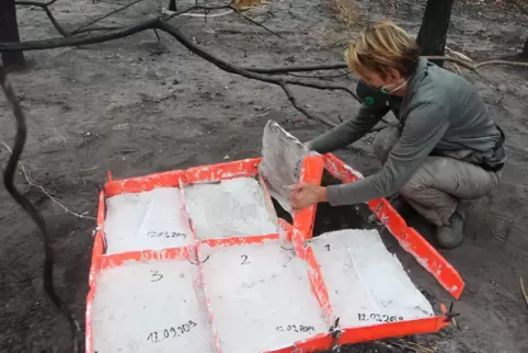 Betty Beier, wie sie im Amazonasgebiet Bodenbilder von verbrannter Erde abnimmt 