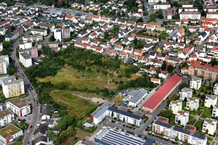Grüne Insel: früherer Normand-Sportplatz mit Versickerungsfläche. Eine offene Frage ist, ob sich die Auffüllung zur Bauland-Ersc