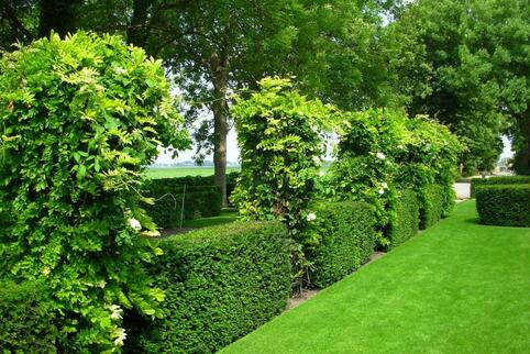  Garten- und Landschaftsgärtner sorgen für gepflegte Grünanlagen. 