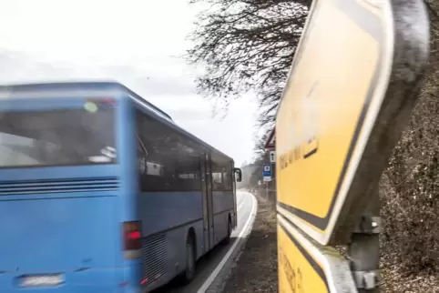 Wer auf den Bus angewiesen ist, muss in den Herbstferien mancherorts auf geänderte Fahrpläne achten.