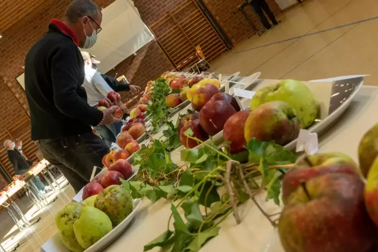 Fast 130 Apfel- und Birnensorten präsentierte die Fördergemeinschaft Streuobst Pfalz in der Kurpfalzhalle. 