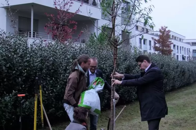 Sie pflanzten den Mandelbaum (von links): Flora Dahlhausen, Jona Edelmann, Fritz Brechtel und Thomas Hirsch. 