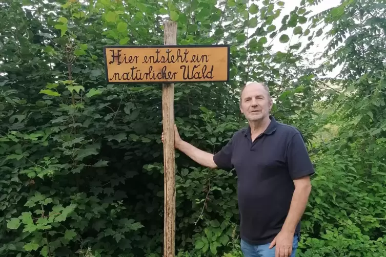 Auf seinem Grundstück vor Ballweiler lässt Ulrich Matheis dem Wachstum von Laub- und Nadelbäumen freien Lauf. 
