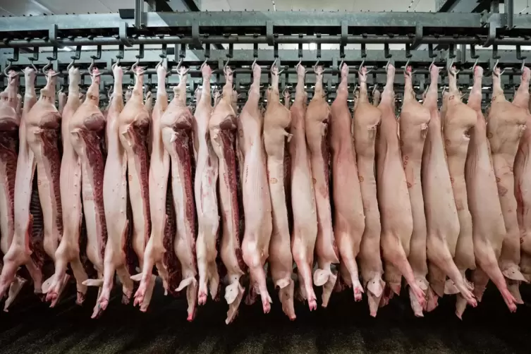 Halbierte Schweine in einem Schlachthof in NIedersachsen. In Großbritannien gehen die Metzgermeister aus.