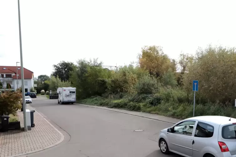 An der Kreuzung Bexbacher Stra&szlig;e/In den Forstwiesen ist das Biotop zu sehen, das Anwohner erhalten wollen.