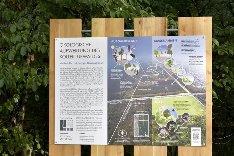 Überblick: Auf Plakaten wird erläutert, was warum im Käfertaler Wald gemacht wird.
