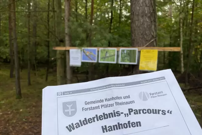 Hier wird der Name eines Vogels gesucht: Mit Rätselbogen bewaffnet, geht’s von Station zu Station im Hanhofener Wald. Hier wird der Name eines Vogels gesucht: Mit Rätselbogen bewaffnet, geht’s von Station zu Station im Hanhofener Wald.