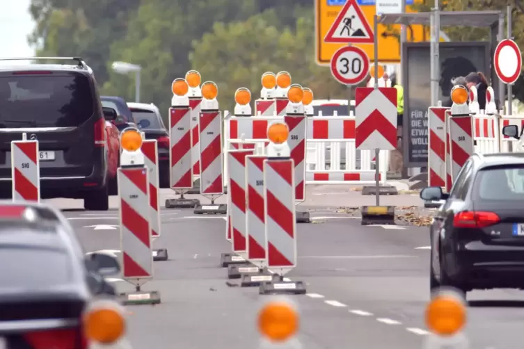 Gleich daneben ein Baken-Dickicht.