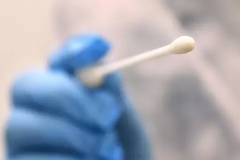Neun positive Corona-Testergebnisse gingen am Samstag beim Gesundheitsamt des Kreises Südwestpfalz ein.