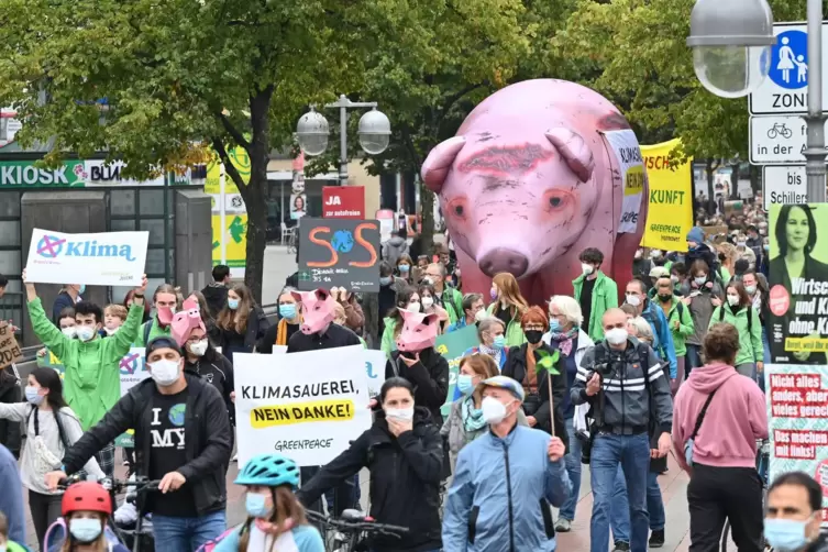 Neben dem Protest auf der Straße gehen Klimaschützer auch den juristischen Weg.