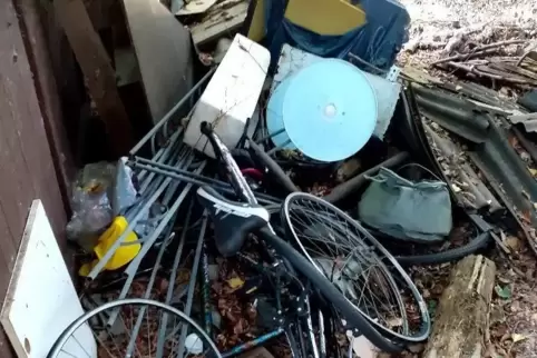 Teilweise wurde der Abfall im Wald eingesammelt, teilweise gehört er laut Kreisverwaltung dem Forst.