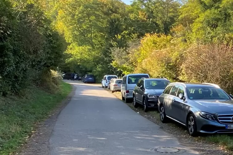Die Stra&szlig;e zum M&uuml;hltal-Parkplatz am Samstag. 