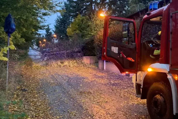 Umgest&uuml;rzte B&auml;ume sorgen auch in Kirchheimbolanden f&uuml;r Eins&auml;tze der Feuerwehr. 