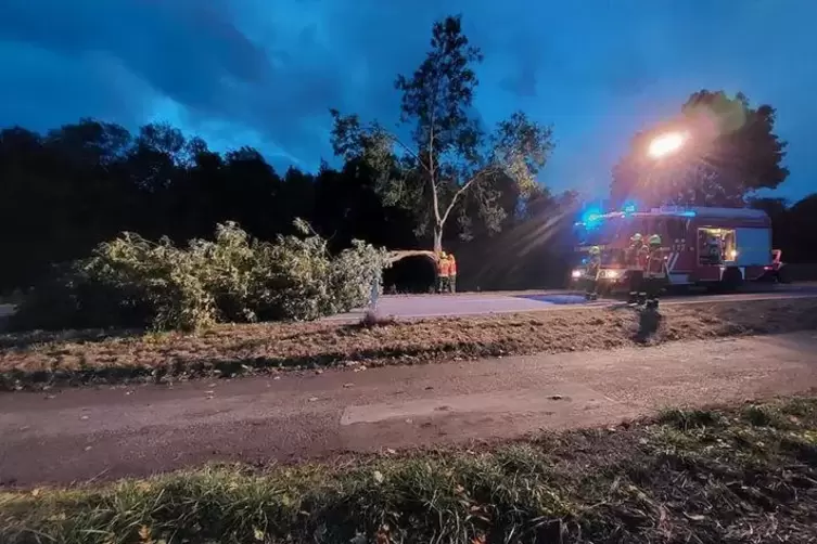 Im Einsatz: Die Feuerwehr Waldsee wurde wegen eines umgestürzten Baums auf der Kreisstraße Richtung Altrip alarmiert. 
