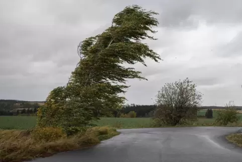 Der Herbststurm Ignatz zog am frühen Donnerstagmorgen über den Südwesten hinweg, verursachte aber kaum Schäden in Zweibrücken un