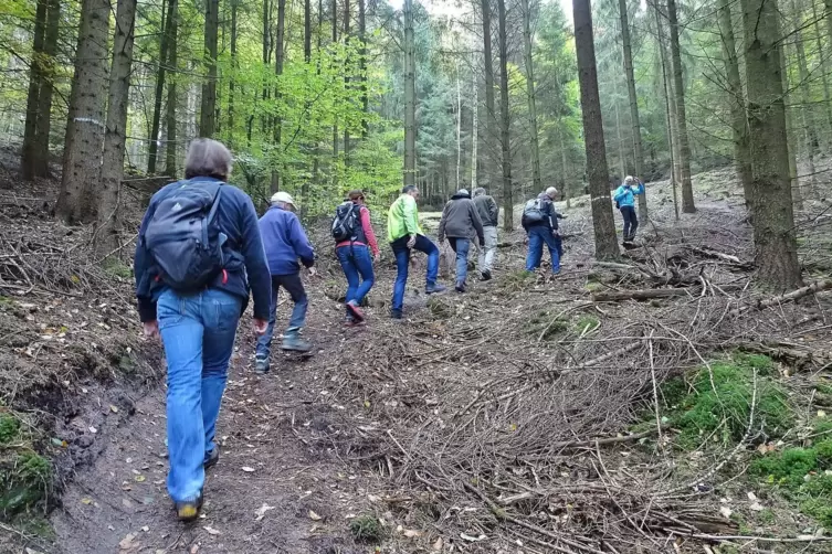 Auf einer neu angelegten illegalen Abfahrt geht es zu Fuß bergauf für die Teilnehmer des gemeinsamen Waldbegangs. 