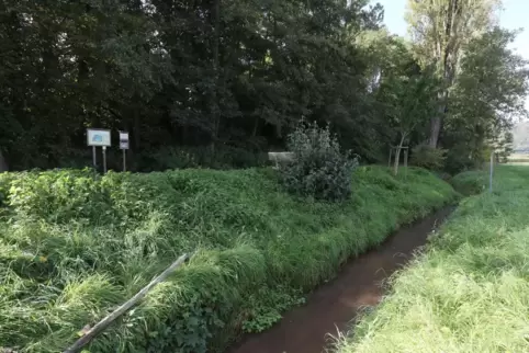 Von der Obermühle ist nicht mehr viel übrig.