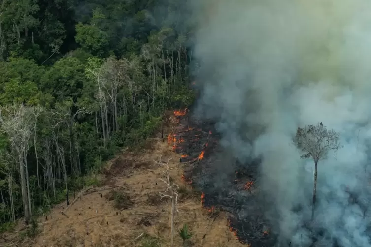 Manche fackeln nicht lange: Brandstifter zünden den Regenwald an, um so etwa Agrarland zu gewinnen. 
