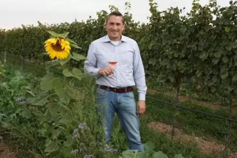 Stefan Reinhart in einem seiner Wingerte.