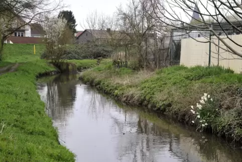 Der Eckbach, hier in einem Abschnitt in Bobenheim-Roxheim, ist eines der Gewässer, die beim Hochwasserschutz in der Region Frank