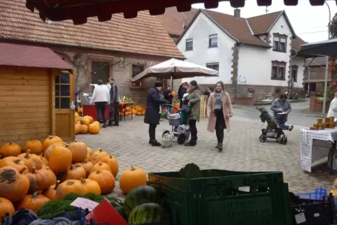 Beim vorerst letzten Herschberger Marktvormittag des Jahres dominierten Kürbisse das Bild. 