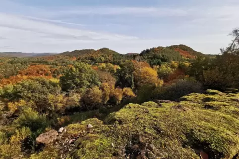 Pfälzerwald in der Südwestpfalz bei Lemberg.