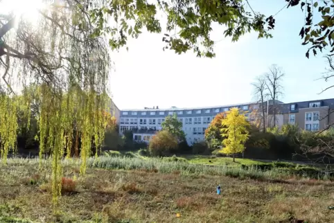 Es grünt so grün im Landauer Schwanenweiher. Der Ostpark ist ein beliebtes Erholungsgebiet. 