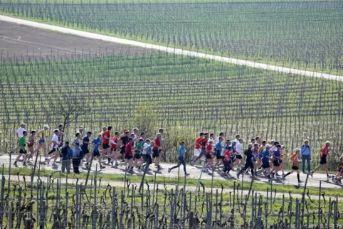 Beim Marathon Deutsche Weinstraße sind diesmal bis zu 3800 Läufer auf der Strecke. 