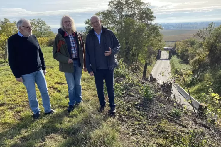Der Vorstand der B&uuml;rgerinitiative mit J&ouml;rg Osterspey, Hans Friedrich und Matthias Fankh&auml;nel (von links). 