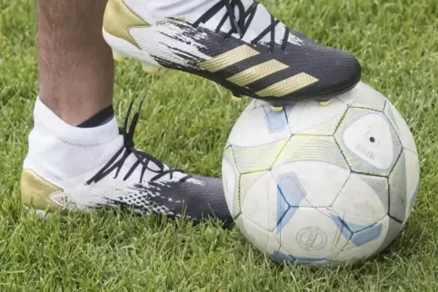 view_fb_fc_erlenbach020821mgo05