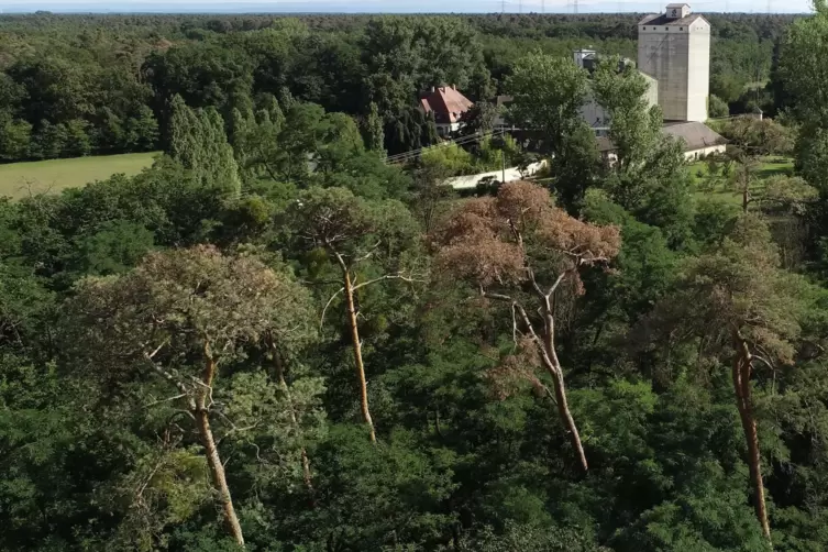 Der Freizeitwert des nahen Waldes, hier mit der Westheimer M&uuml;hle, wird als positiv empfunden.