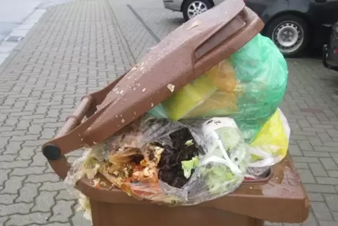 Abfallentsorger haben das Problem, dass Bio-Abfälle zu stark mit Kunststoffen und Glas verunreinigt sind. 