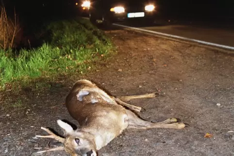 Besonders auf Routen durch den Wald oder im Verlauf von unübersichtlichen Wald- und Feldrändern sei die Wahrscheinlichkeit von W