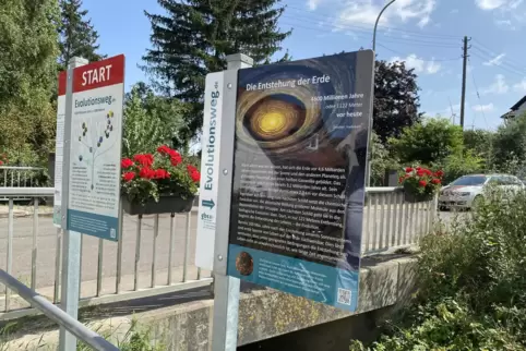 Der Einstieg in den Evolutionsweg an der Hauptstraße bei der Eröffnung im Sommer.