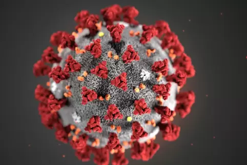 Das Virus im Modell