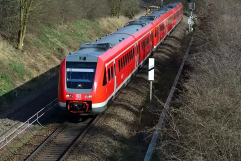 Die Strecke musste für eine Stunde gesperrt werden.