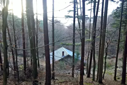 Im Wald zwischen Ramsen und Stauf: Bürckels ehemalige Jagdhütte (Ansicht der Rückseite von Osten).