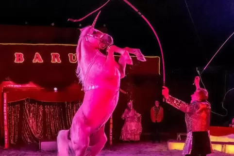 Wurde am Donnerstag erstmals zwischen Dudenhofen und Römerberg gesichtet: ein Einhorn.