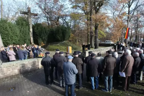 Entlang des Radwegs zwischen Kriegerdenkmal (Foto) und Zeiskamer Straße sollen aus Sicherheitsgründen Bäume gefällt werden.