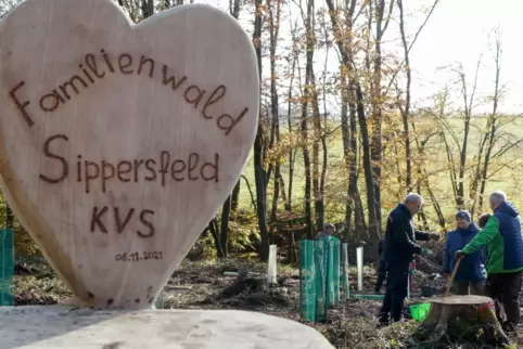 In dem Familienwald sollen künftig auch Lehrveranstaltungen abgehalten werden. 