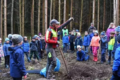 Der Wachenheimer Förster Samuel Fuchs zeigt den Drittklässlern der Grundschule Wachtenburg, wie ein Baum gepflanzt wird.