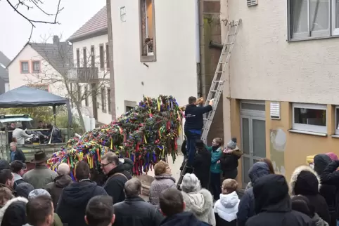 Die sechs Straußbuben und fünf Straußmädchen mussten den schweren, großen Strauß in die hohe Wandhalterung wuchten. 