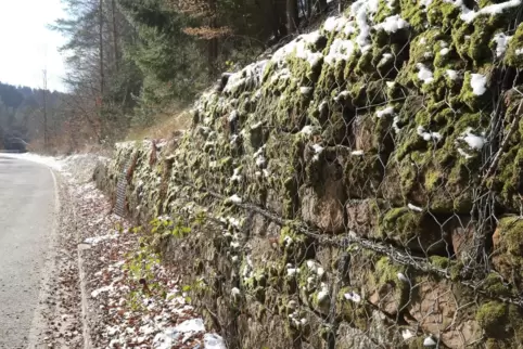20.000 Euro fließen in die Gabionenwand zwischen Höningen und Leistadt an der K31. 