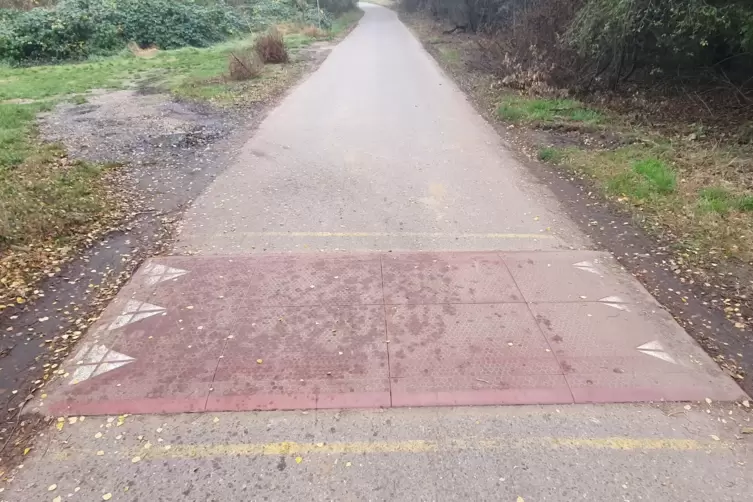 Auch in der Voltastra&szlig;e, die ins Maxdorfer Industriegebiet f&uuml;hrt, suchen sich die Autofahrer ihren Weg um die Bodenschwelle. 