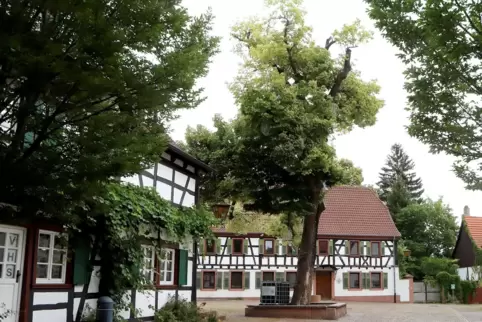 Mit einer Licht- und Videoinszenierung soll das Plätzel erstrahlen. 