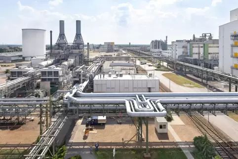 Das BASF-Werk in Schwarzheide, nördlich von Dresden. 
