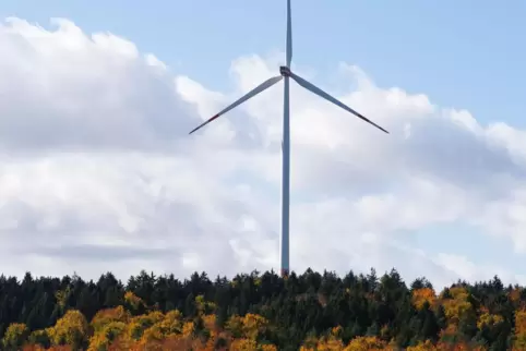 Windrad in einem Wald in Bayern: Werden solche auch im Pfälzerwald aufgestellt?