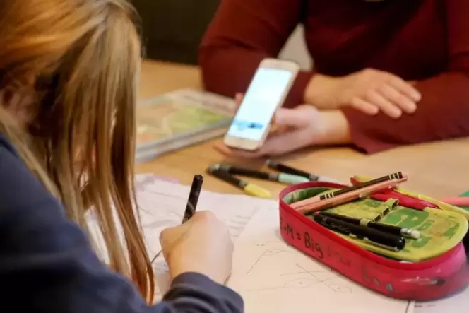 Homeschooling hinterlässt Bildungslücken: Der Streit über einen Offenen Brief zu diesem Thema ist eskaliert. Homeschooling hinterlässt Bildungslücken: Der Streit über einen Offenen Brief zu diesem Thema ist eskaliert.