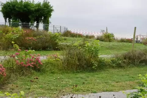Die Erhebung im Friedhofsgelände musste gesperrt werden. 