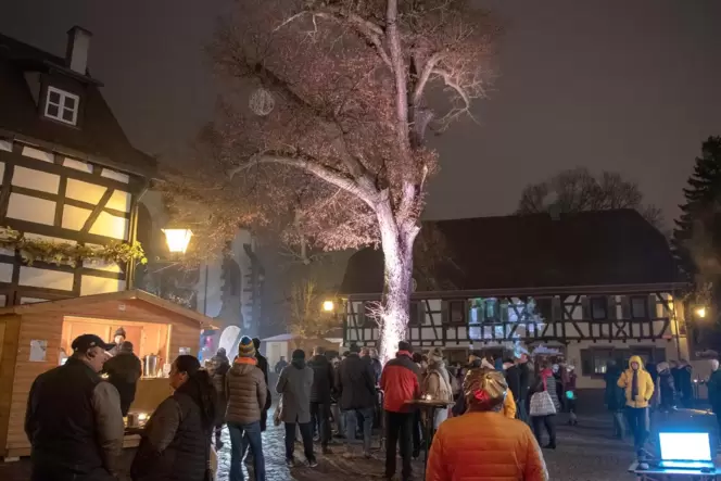 In Szene gesetzt: die Friedenslinde. In Szene gesetzt: die Friedenslinde.